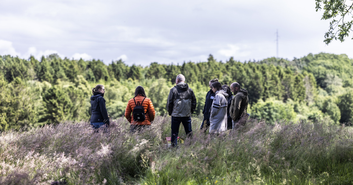 Vision, mission og strategi